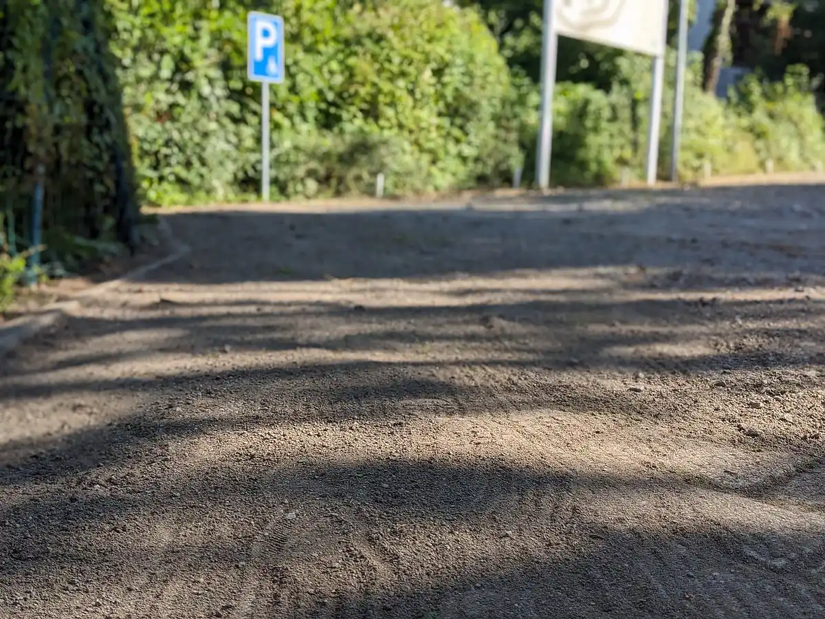 Sonniger Weg auf dem Schulgelände mit Bäumen und einem Parkplatzschild.