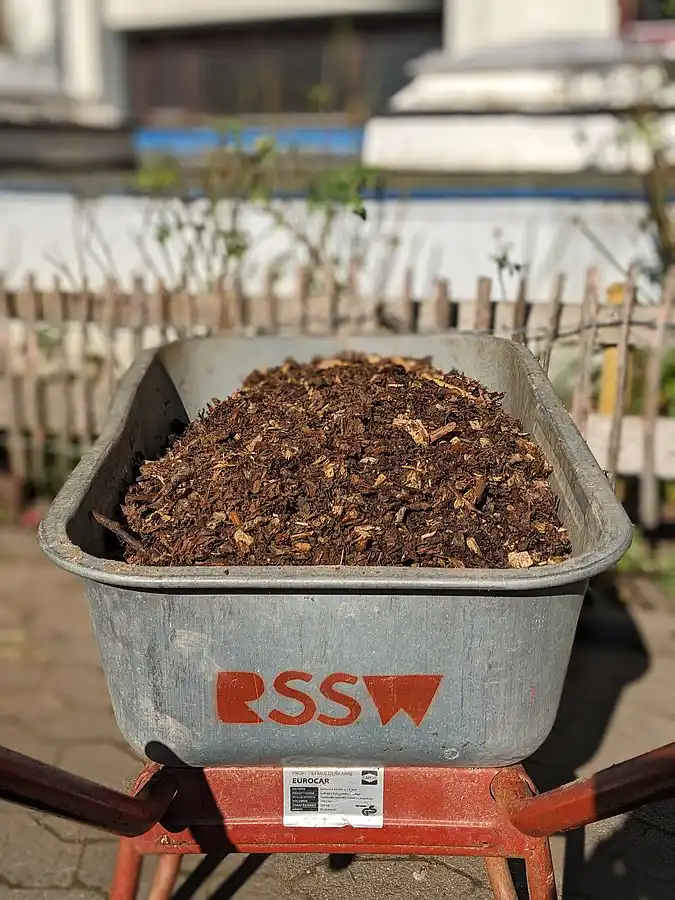 Schubkarre voller Mulch oder Erde auf dem Schulgelände.