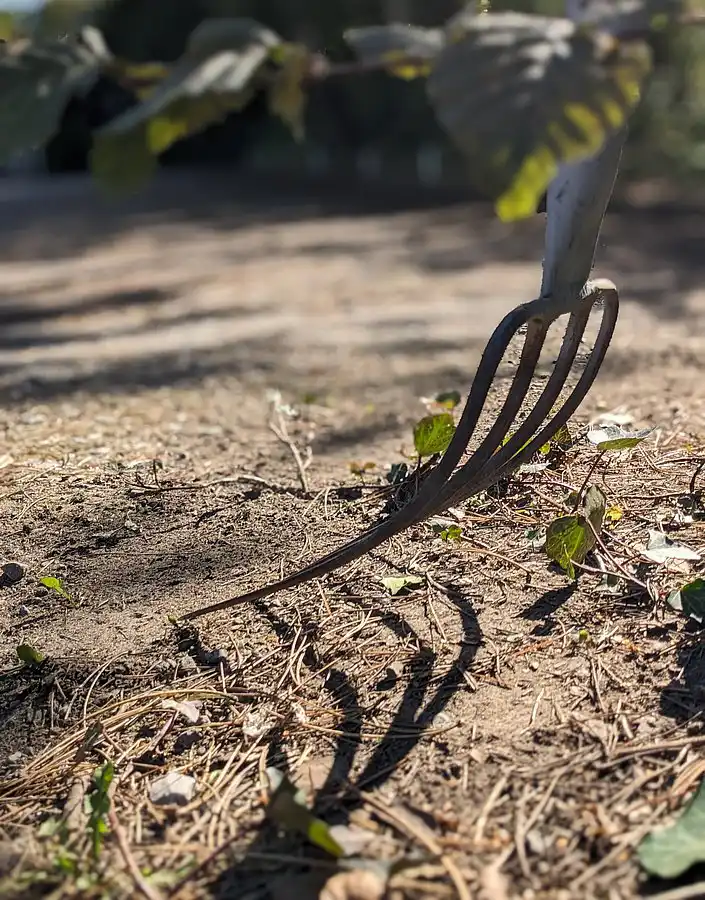 Eine Gartenkralle steckt im Boden und wirft einen Schatten.