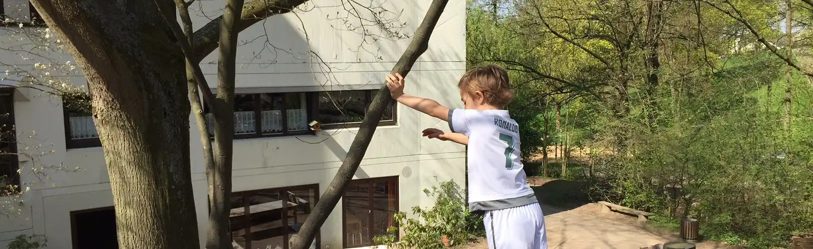 Kind balanciert auf einem Baum auf dem Schulgelände.